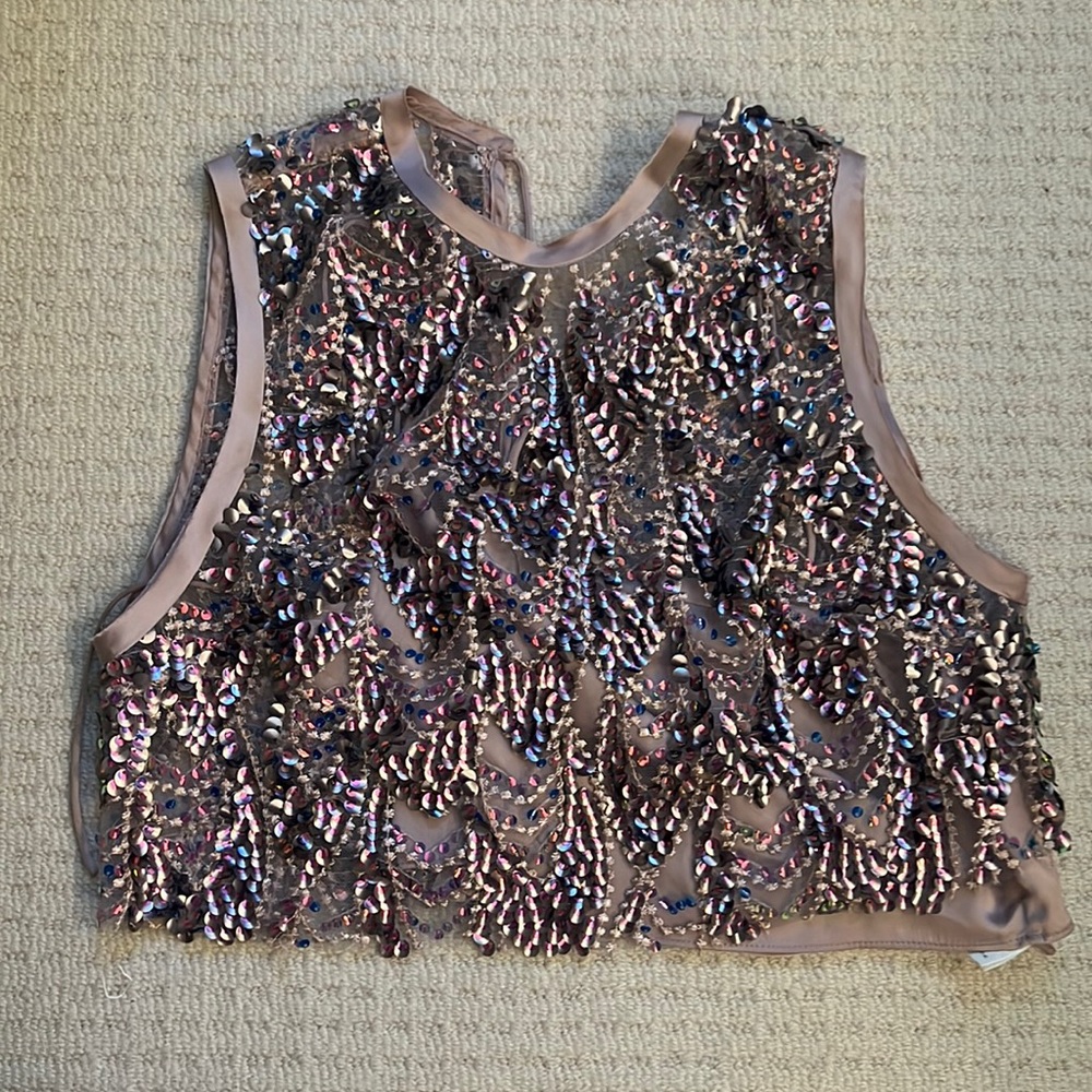 Zara Sequin Crop Top